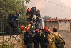 Φωτιά στη Φυλή