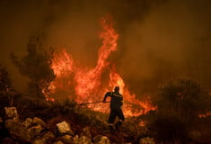 Αρτοποιός: 93 φωτιές μέσα σε ένα 24ωρο- Οι εξελίξεις από όλα τα πύρινα μέτωπα