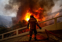 Φωτιά στη Φυλή: Νέο μήνυμα του 112, προς Πάρνηθα οι φλόγες- «Απομακρυνθείτε προς το κέντρο του Μενιδίου»