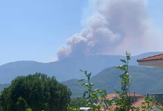 Φωτιά σε Μακρυκώμη Φθιώτιδας και Κρυονέρι Αιτωλοακαρνανίας