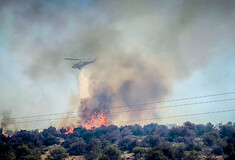 Φωτιά στη Βοιωτία: Νέα αναζωπύρωση στον Πρόδρομο 