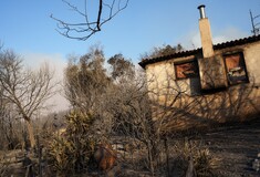 Φωτιά στη Ροδόπη: Βελτιωμένη η κατάσταση στα δύο πύρινα μέτωπα