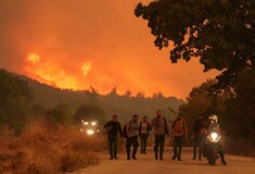 Κινδυνεύει να καεί η ανθρωπιά μας