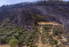 Περισσότερα από 617.000 στρέμματα κατέκαψε μέχρι σήμερα η πυρκαγιά στον Έβρο και πάνω από 50.000 στη Φυλή Αττικής