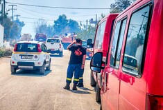 Νέα φωτιά στη Βοιωτία- 24 πυροσβέστες και εναέρια μέσα στην κατάσβεση