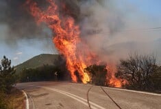 Φωτιά στην Αλεξανδρούπολη: 