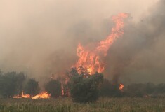 Φωτιά στην Αλεξανδρούπολη: Με ενισχύσεις από Βουλγαρία, Τσεχία, Αλβανία και Ρουμανία η μάχη της κατάσβεσης