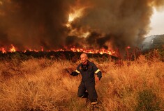 Λέκκας: Πώς προκαλείται το «φαινόμενο της καμινάδας»- Οι παράγοντες που «συμμαχούν» με τη φωτιά