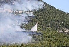 Φωτιά στην Πάρνηθα- Πυροσβεστική: Κάποιοι πετούν drones, μπορεί να προκληθεί ατύχημα