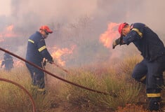 Φωτιά στη Βοιωτία: Συνεχείς αναζωπυρώσεις σε δύσβατα σημεία – Μόνο τα ελικόπτερα μπορούν να βοηθήσουν