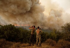 Φωτιά στον Έβρο: Η πιο καταστροφική πυρκαγιά των τελευταίων 20 χρόνων στην Ελλάδα