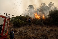 Σύλληψη για φωτιά στον Αυλώνα: Ποινική δίωξη σε βαθμό κακουργήματος στον 45χρονο