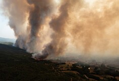 Φωτιά στον Έβρο: «Από αύριο μεγαλώνει η απειλή, αλλάζει ο αέρας- Μετά δεν ξέρουμε πώς θα σταματήσει η επέλαση»