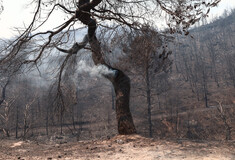 Φωτιάς την Πάρνηθα: Εντόπισαν κρανίο σε καμένη περιοχή