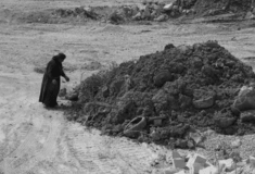 Ξεκινάει η εικαστική έκθεση «Ελαιώνας ‘23 – Χθόνιο και Ανθρωπόκαινος» στην περιοχή Μαρκόνι μέσα και γύρω του σταθμού μετρό Ελαιώνας 