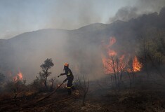 Φωτιές: Μαίνονται τα πύρινα μέτωπα σε Έβρο, Ροδόπη και Πάρνηθα