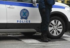 Ερμιόνη: 75χρονος πυροβόλησε και σκότωσε σκύλο