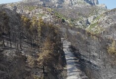 Η Φυλή πριν και μετά την καταστροφική φωτιά - Εικόνες από drone