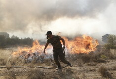 Φωτιά στον Έβρο: Σε πύρινο κλοιό το Σουφλί- 582 πυροσβέστες στ