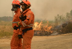 Φωτιά στον Έβρο: Συνεχίζεται η μάχη με τις φλόγες- «Συγκρατημένα αισιόδοξοι» στην πυροσβεστική