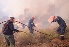 Φωτιά στη Μεσσηνία- «Οριοθετημένη κατά 80%» η πυρκαγιά στον Έβρο