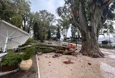 Κακοκαιρία Daniel: Διακοπές ρεύματος, πτώσεις δένδρων και αδυναμία προσγείωσης πτήσεων στην Κέρκυρα