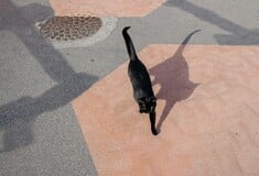 LensCulture street photography awards
