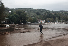 Κακοκαιρία - Ψαλτοπούλου: Χρειάζεται πόσιμο νερό και τροφή στις πληγείσες περιοχές