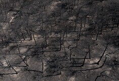 Φωτιά στη Δαδιά: Στάχτη το 57% του εθνικού πάρκου - Πάνω από 245.000 στρέμματα
