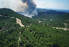 Αποτίμηση επιπτώσεων από την πυρκαγιά στο Εθνικό Πάρκο Δάσους Δαδιάς - Λευκίμης Σουφλίου