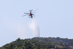 Φωτιά τώρα στη Φθιώτιδα - Σηκώθηκαν δύο αεροπλάνα και ένα ελικόπτερο 