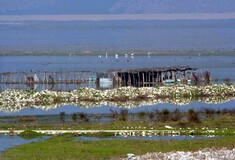 Διακοπή κυκλοφορίας στην ευρύτερη περιοχή της λίμνης Κάρλας 