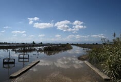 Αντιπεριφερειάρχης και δήμαρχος Παλαμά αποποιούνται ευθυνών για το σπασμένο φράγμα στον Καλέτζη