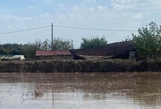 Θεσσαλία: Χωρίς πόσιμο νερό για 14η μέρα ο Βόλος - Ακόμα συλλέγονται νεκρά ζώα