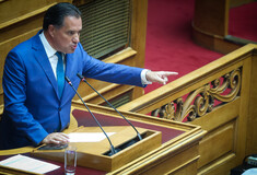 Ο Άδωνις Γεωργιάδης στη βουλή