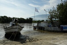 Πήλιο: Κινδυνεύουν να χαθούν σοδειές εκατομμυρίων ευρώ