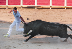 Νεκρός άνδρας από χτύπημα ταύρου σε φεστιβάλ στην Ισπανία