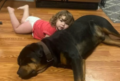 Κορίτσι 2 ετών έφυγε από το σπίτι, βρέθηκε να κοιμάται στο δάσος, με τον σκύλο της για μαξιλάρι