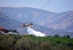 Φωτιά τώρα στο Νέο Ροεινό Αργολίδας 