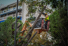 Εξάρχεια: Νέα ένταση για την κοπή δένδρων λόγω του μετρό – 4 προσαγωγές