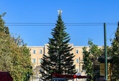 Δήμος Αθηναίων: Πότε ανάβει το χριστουγεννιάτικο δέντρο στο Σύνταγμα