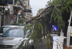 Κακοκαιρία Bettina: Δέντρο έπεσε σε αυτοκίνητο, τραυματίστηκε οικογένεια