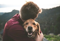 Τι μπορούν να μας διδάξουν τα golden retriever για τον καρκίνο;