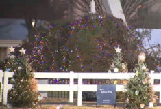 Έπεσε το χριστουγεννιάτικο δέντρο έξω από τον Λευκό Οίκο