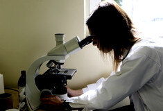 AIDS/HIV– Μαγιορκίνης: Αύξηση των διαγνώσεων στην Ελλάδα το 2023