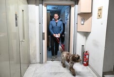 Παραλίγο να απολυθεί δημοσιογράφος στο «Κόκκινο» μετά την ανάρτησή της για τον Κασσελάκη και τον σκύλο του