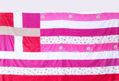 Νέα Αριστερά για ροζ ελληνική σημαία: «Ο κ. Γεραπετρίτης οφείλει να ανακαλέσει»