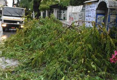 Κακοκαιρία: Καταστροφές σε σπίτια και επιχειρήσεις στην Ηλεία - Κατολισθήσεις στην Αχαΐα