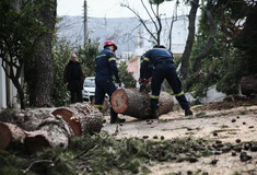 Κακοκαιρία: Τουλάχιστον 485 κλήσεις στην πυροσβεστική για βοήθεια