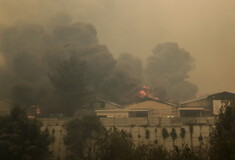 Φωτιές στη Χιλή: Τουλάχιστον 51 νεκροί - Έχουν καεί 430.000 στρέμματα δάσους 